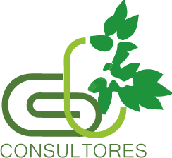 Consultores G & L